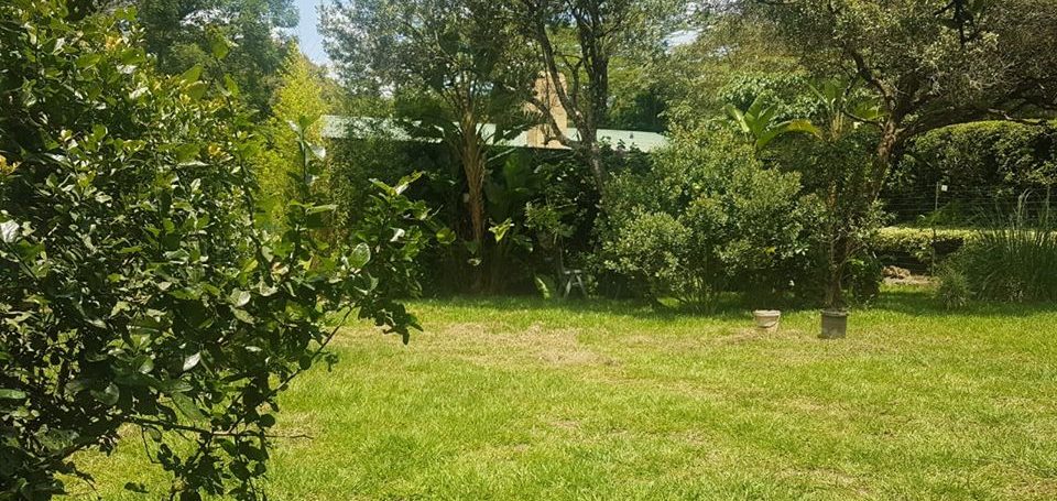 2 Bedroom House in a calm environment located in the Karen Suburbs6