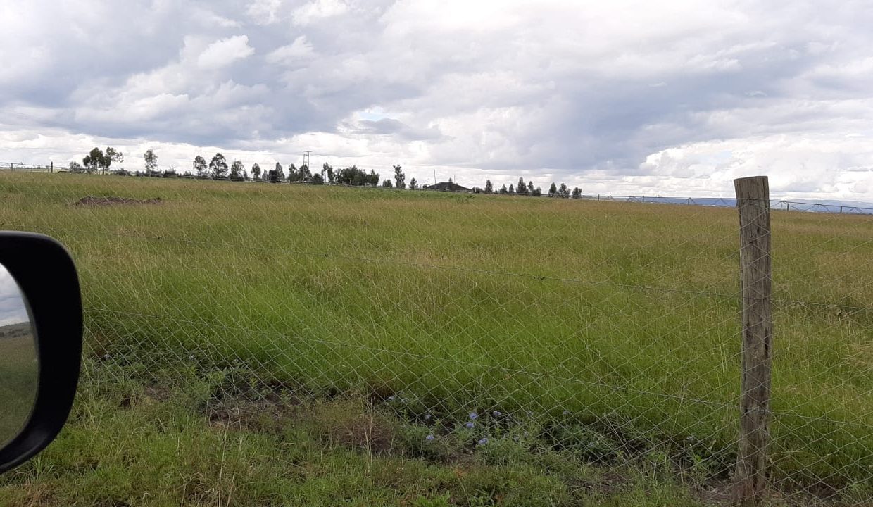 1:4 Acre Land For Sale Near Kitengela Town - Payable in 10 Months Installments4