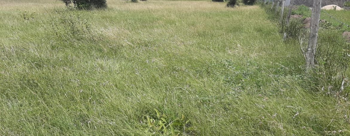 1:4 Acre Land For Sale Near Kitengela Town - Payable in 10 Months Installments5
