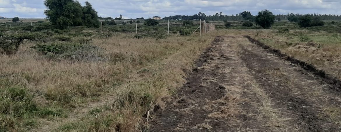 1:4 Acre Land For Sale Near Kitengela Town - Payable in 10 Months Installments7