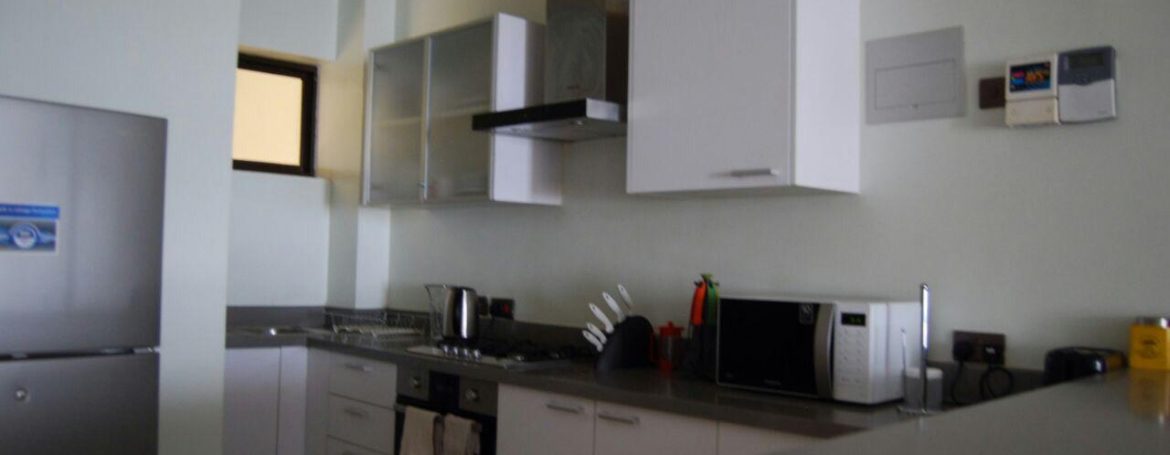 Executive 1 bedroom Furnished & serviced apartment - Lavington, Gitanga road3
