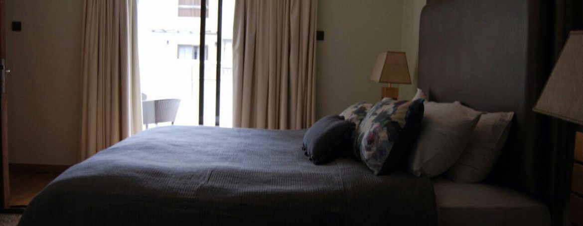 Executive 1 bedroom Furnished & serviced apartment - Lavington, Gitanga road5