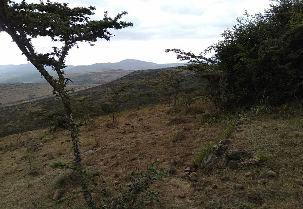 5 Acres of Land for sale with Spectacular Wildlife view in Champagne Ridge, Kajiado1