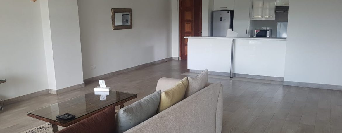Executive 2 Bedrooms Tastefully Furnished Apartment All-Ensuite along Othaya Rd, Lavington3