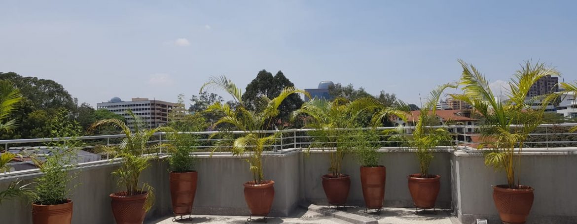New Property: 1 Bedroom Fully Furnished and Serviced Apartment on Riverside at 130k36