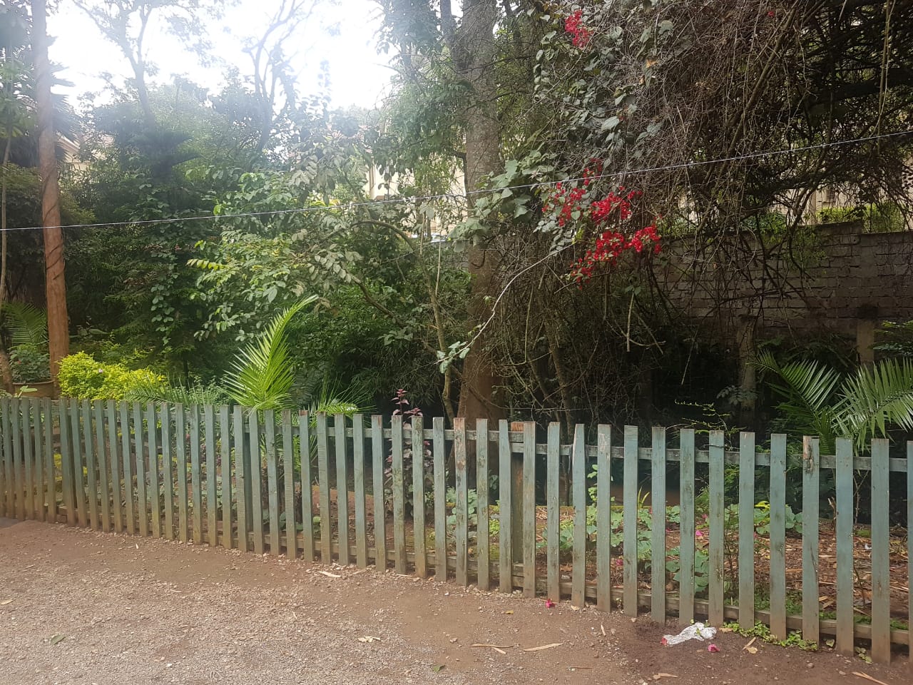 Prime Land for Sale on Peponi Road Ideal for Redevelopment of Town Houses at Ksh165M negotiable11