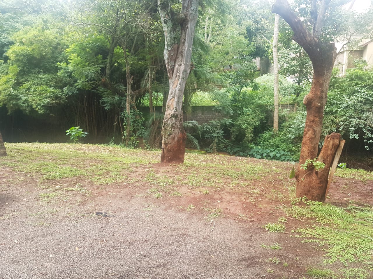 Prime Land for Sale on Peponi Road Ideal for Redevelopment of Town Houses at Ksh165M negotiable21