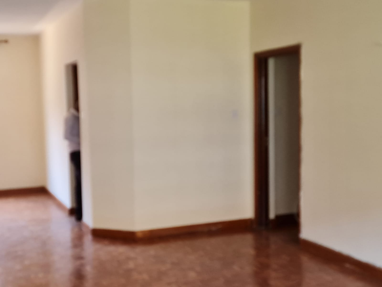 Newly Renovated Spacious 4 Bedroom Apartment for Rent at Ksh95k in Westlands, Raphta Road (9)