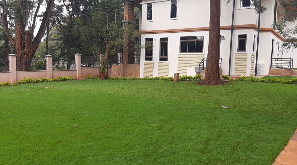 3 bedroom House to let Located on Dagoretti Road Near the Hub Mall and the bypass. Shared compound of 3 houses. No pets allowed. Ksh180k per month (1)