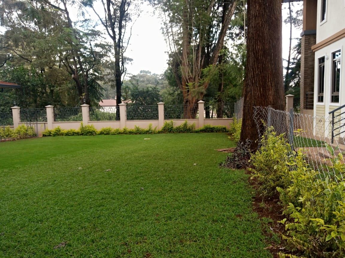 3 bedroom House to let Located on Dagoretti Road Near the Hub Mall and the bypass. Shared compound of 3 houses. No pets allowed. Ksh180k per month (13)