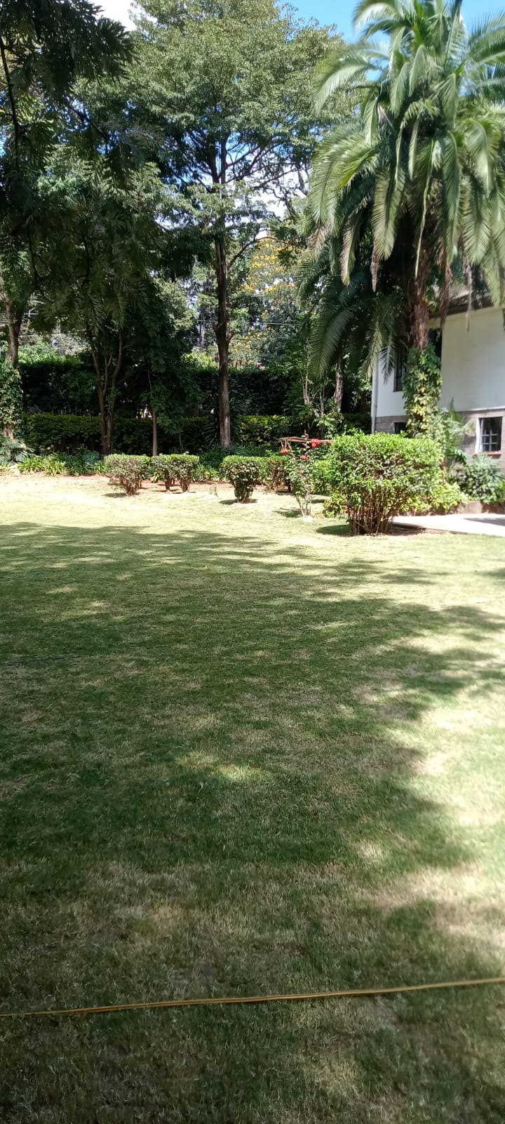4 Bedroom Double Storey House to Let at Ksh600k Sitting on 34acres with Huge Family Room, Tv Room, Study Room, Terrace, Mature and Well-Kept Garden and more amenities (16)