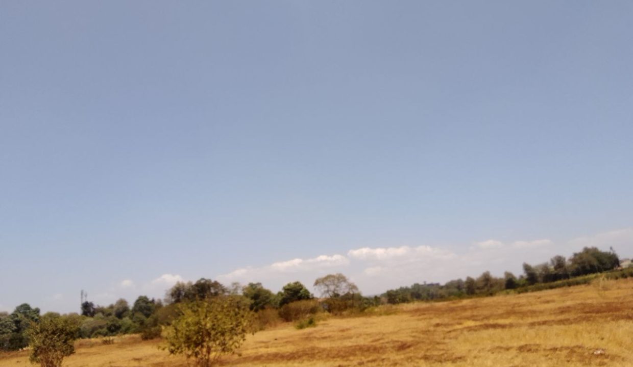 10 Acre Property for sale on Peponi Road at Ksh110M (3)