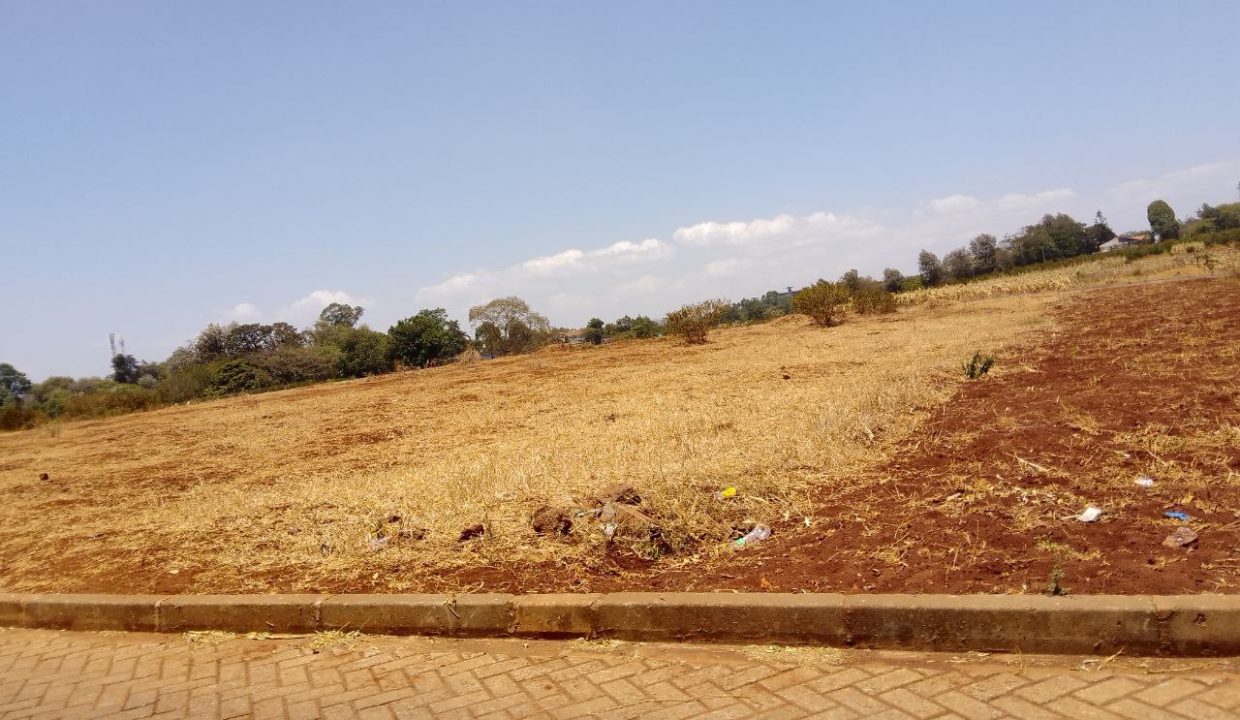 10 Acre Property for sale on Peponi Road at Ksh110M (4)