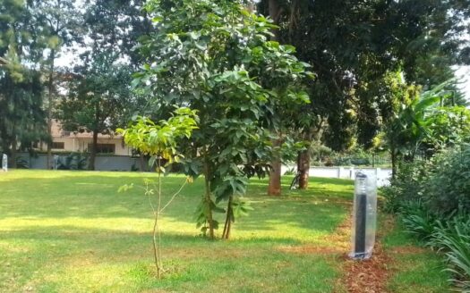 Brand New 5 Bedroom Villa for Rent in Runda on Half Acre Near UN