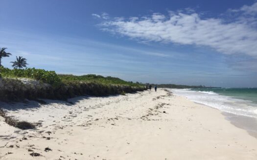 Kilifi Beach Plot for Sale – 2.5 Acres Private Beachfront Land