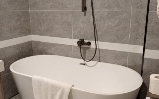 Karen 4 Bedroom House for Rent with DSQ and Garden