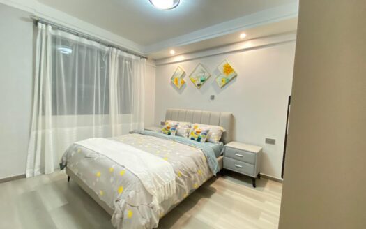 2 and 3 Bedroom Apartments for sale in Kileleshwa
